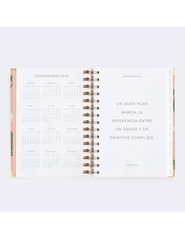 Agenda Diaria 22-23 Mediana Tulipanes Charuca