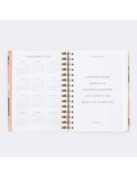 Agenda Diaria 22-23 Mediana Tulipanes Charuca