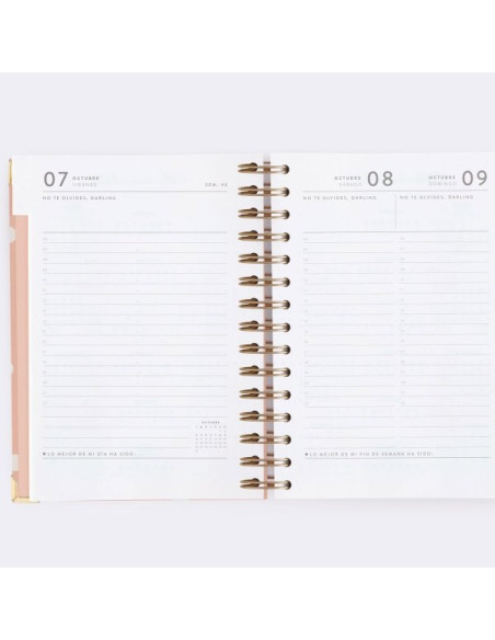 Agenda Diaria 22-23 Mediana Pink Charuca
