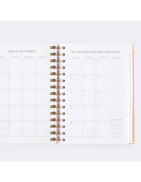 Agenda Diaria 22-23 Mediana Pink Charuca