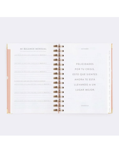 Agenda Diaria 22-23 Mediana Pink Charuca