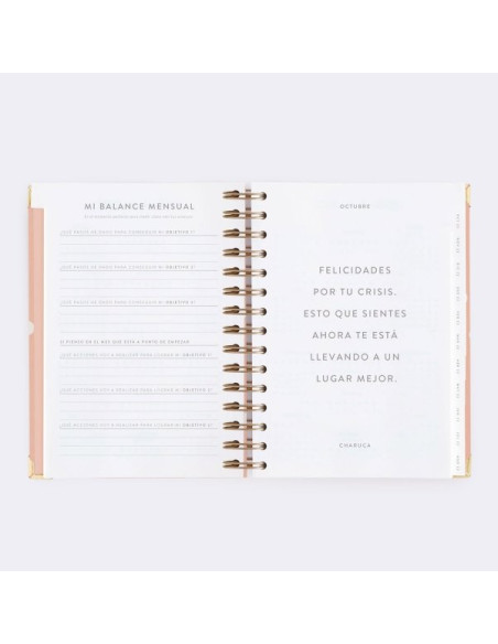 Agenda Diaria 22-23 Mediana Pink Charuca