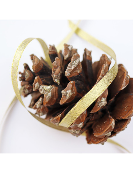 1m Lazo Fino Lamé Oro