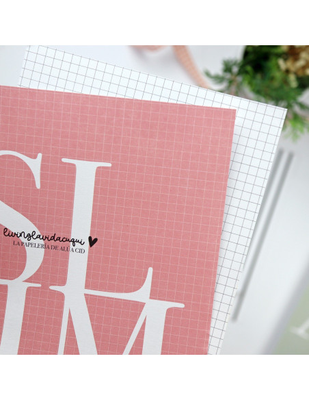 Relleno para Libreta Slim TROQUELADO para Discos Alúa Cid