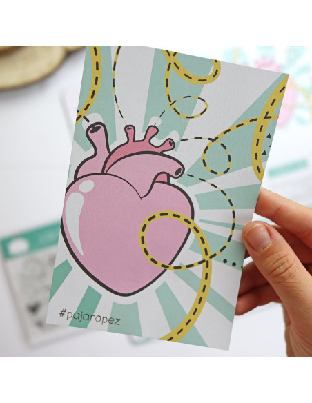 Cajacadabra Pajaropez