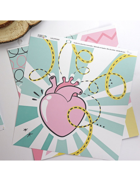 Cajacadabra Pajaropez