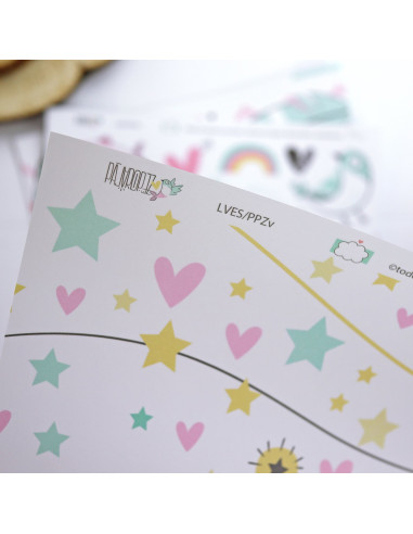 Cajacadabra Pajaropez