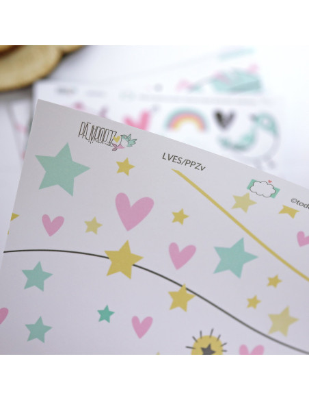 Cajacadabra Pajaropez