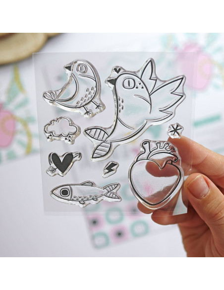 Cajacadabra Pajaropez