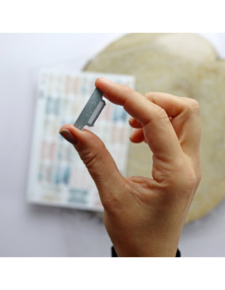 Tabuladores Alúa Cid, Alma