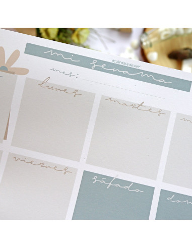 Planificador semanal Pe de Pepa