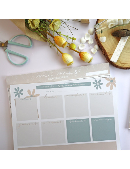 Planificador semanal Pe de Pepa