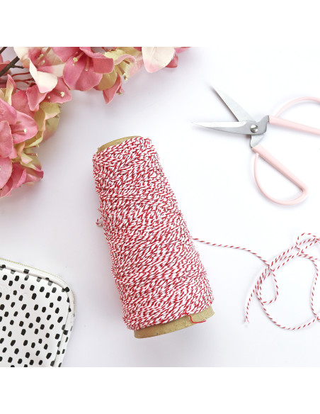 1m Baker Twine Navidad