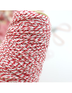 1m Baker Twine Navidad 2
