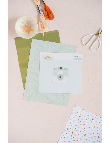 Troquel de cámara, Salvaje de Mintopía