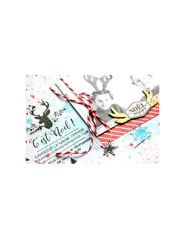 Tinta Florilèges, Celadon