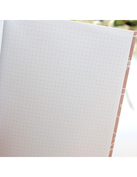 Bullet  Journal Alma, de Alúa Cid