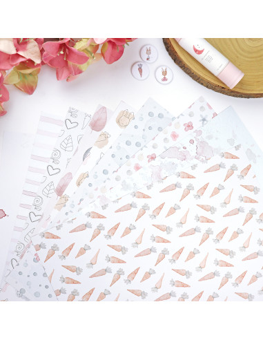 Cajacadabra Carrotcake de Alúa Cid