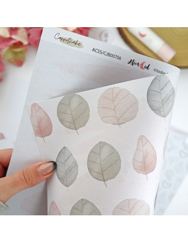 Cajacadabra Carrotcake de Alúa Cid