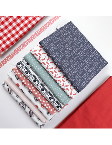 Tela Iconos, Destino de Alúa Cid