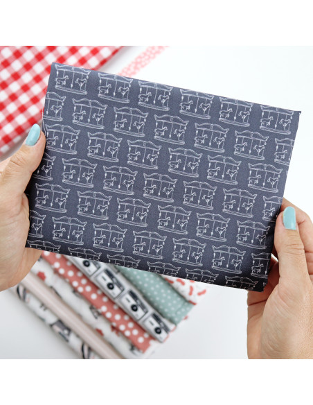 Tela Tiovivo, Destino de Alúa Cid