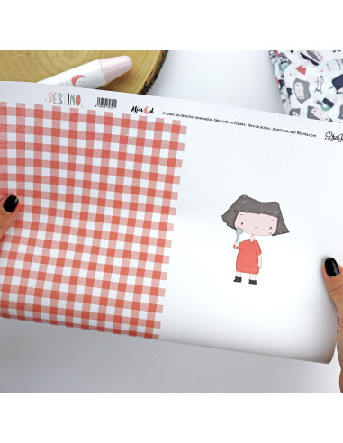 Papel laminado Mayo, Destino de Alúa Cid