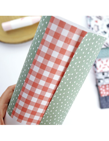 Papel laminado Mayo, Destino de Alúa Cid