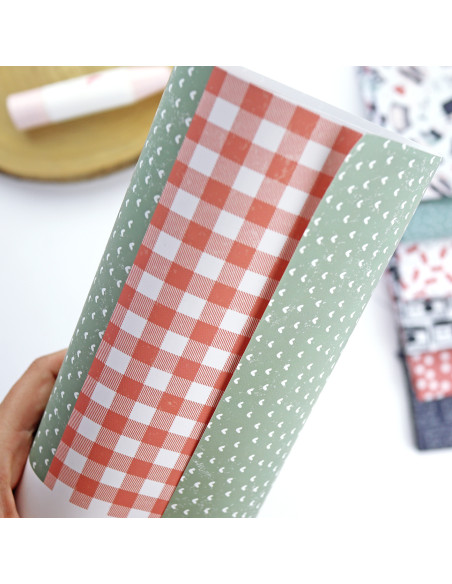 Papel laminado Mayo, Destino de Alúa Cid