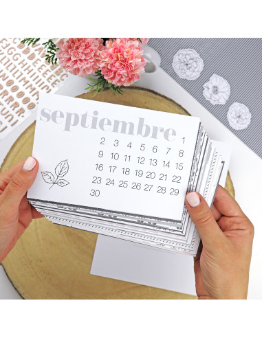 Kit Tercer Trimestre para Rita's Diary 2024