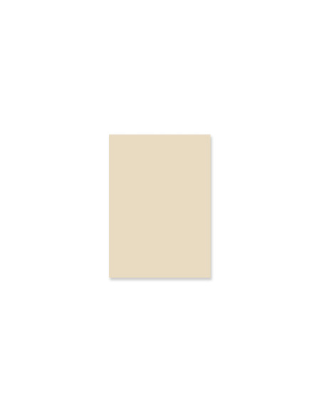 Pad de 24 papeles Básicos a una cara Lora Bailora