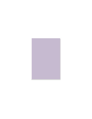 Pad de 24 papeles Básicos a una cara Lora Bailora