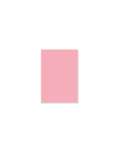 Pad de 24 papeles Básicos a una cara Lora Bailora