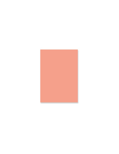 Pad de 24 papeles Básicos a una cara Lora Bailora