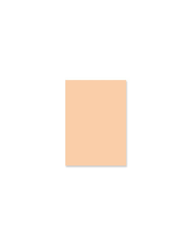 Pad de 24 papeles Básicos a una cara Lora Bailora