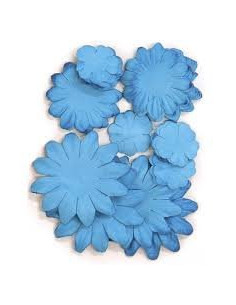 Flores Kaiser azul lagoon